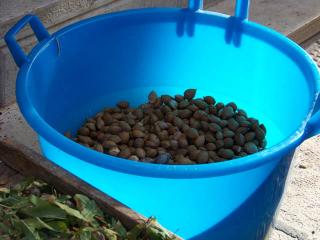 Immagine allegata alla scheda. Per averne una descrizione leggere i dettagli più in basso.